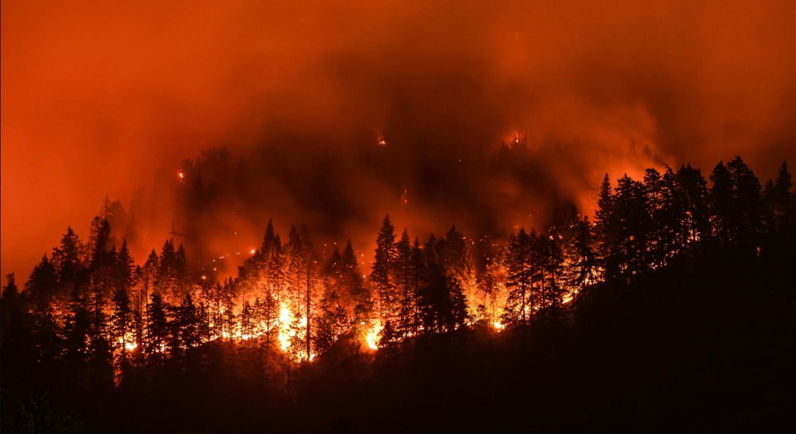 A wildfire burning across a forested hillside at night, flames glowing through thick smoke lit orange by the blaze.